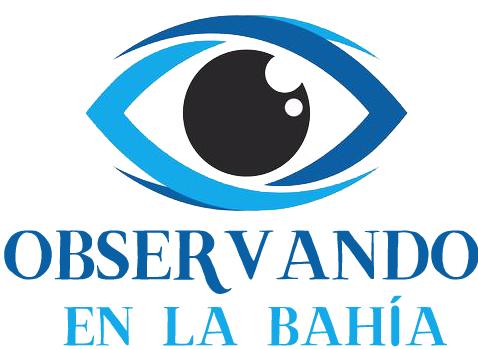 Observando en la Bah&iacute;a